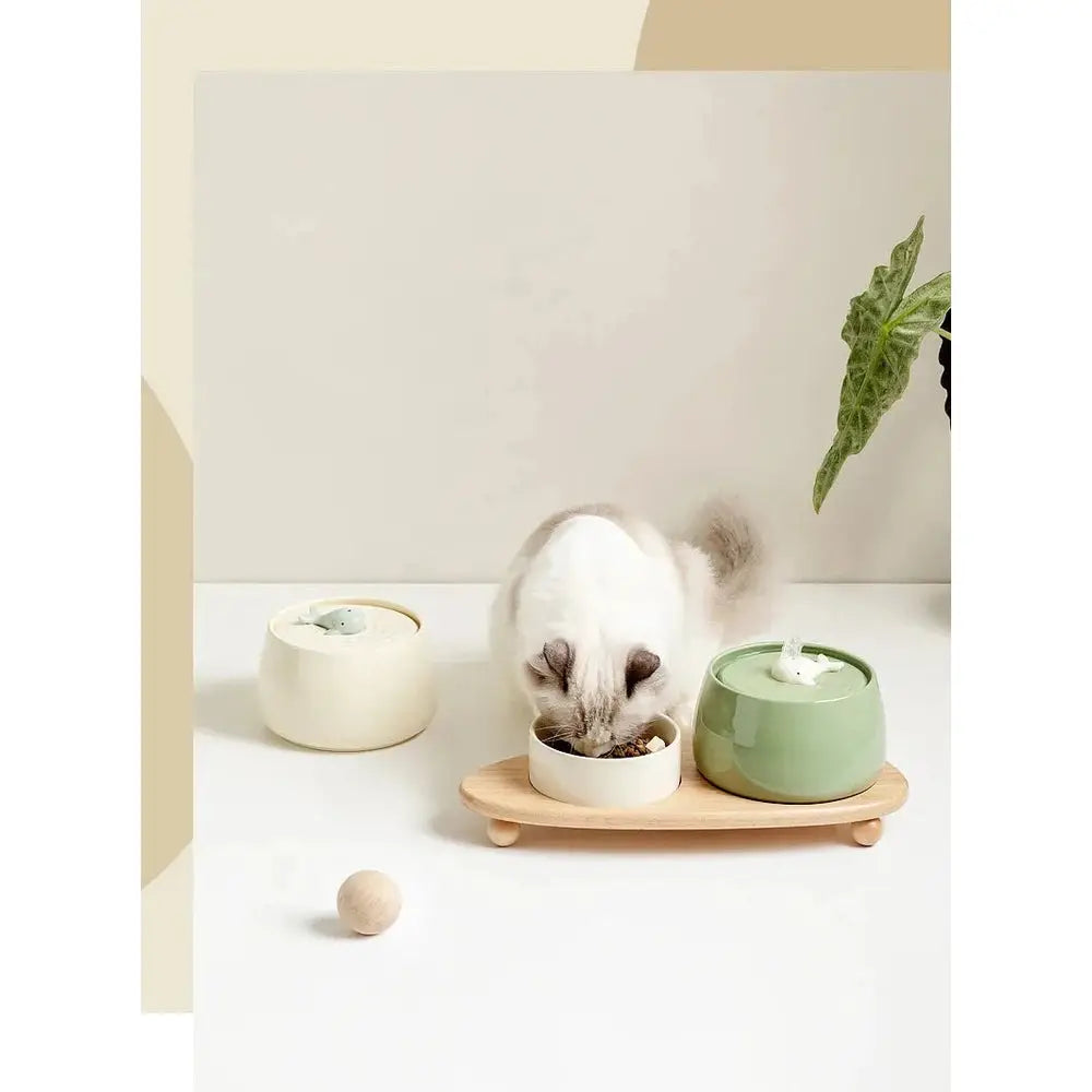 Fontaine à eau pour chat en céramique blanche et verte sur socle en bois