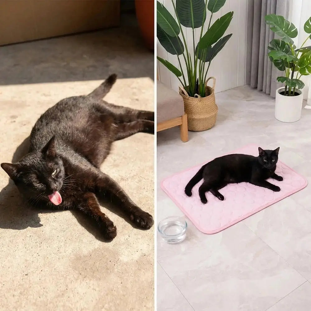 Tapis rafraîchissant pour chat rose à relief, avec chat noir couché dessus