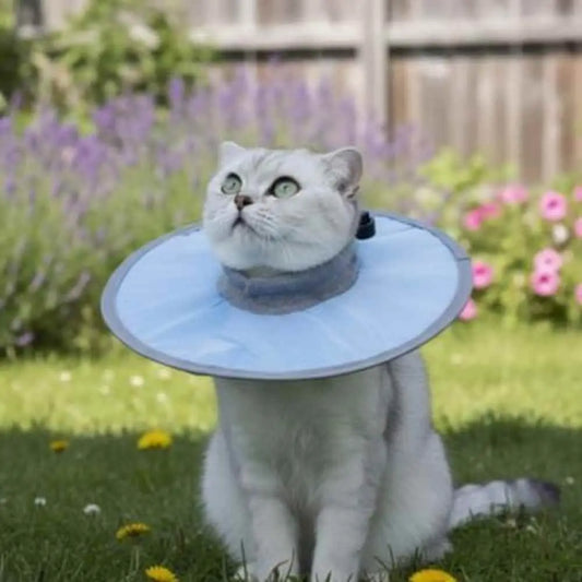 Collerette de protection pour chat bleu, collerette ronde en tissu souple.