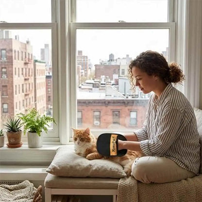 Gant de toilettage noir à étiquette jaune, brossage d’un chat sur un coussin.
