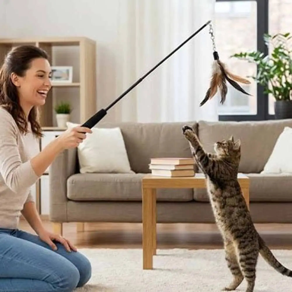 Canne à pêche pour chat avec poignée noire et lanière terminée par une plume