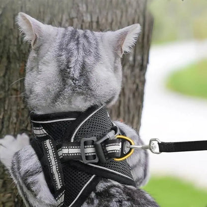 Harnais anti-fugue noir pour chat, filet ajouré et sangle avec anneau métallique