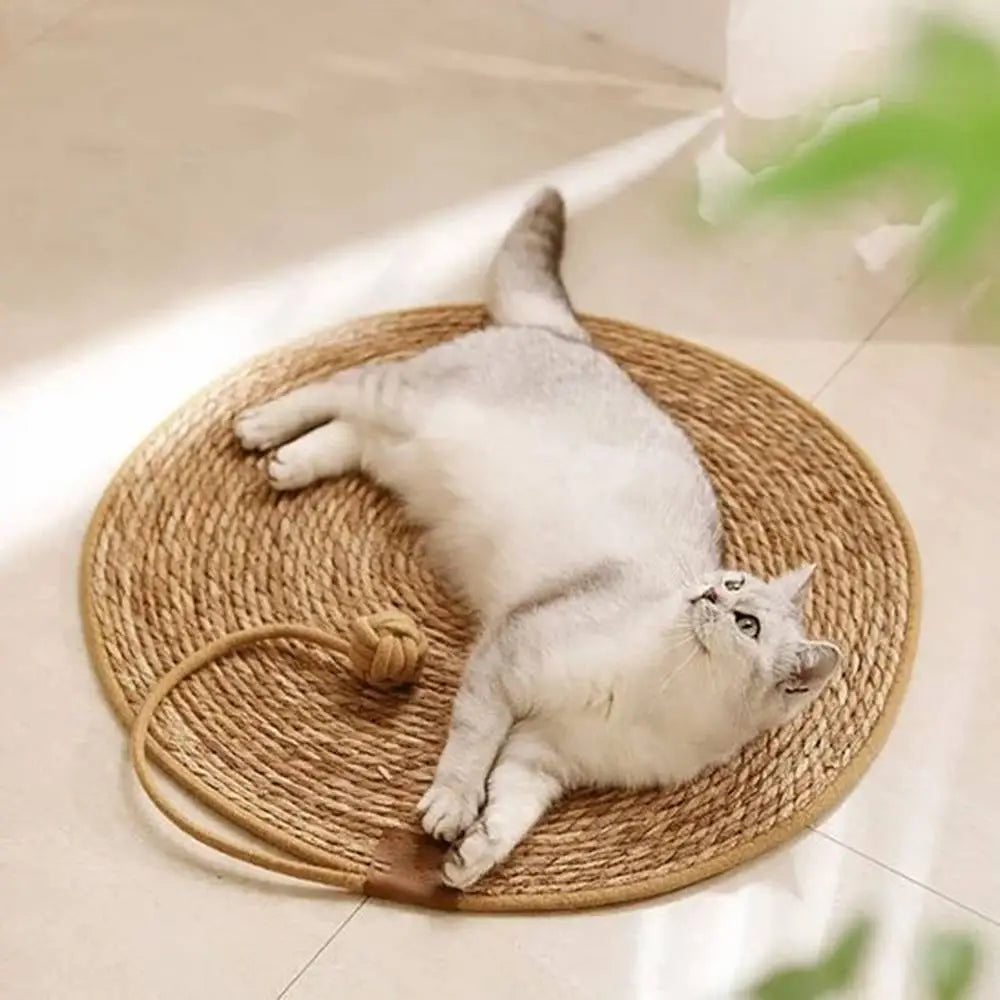 Tapis griffoir rond en sisal beige, chat blanc enroulé sur le tapis