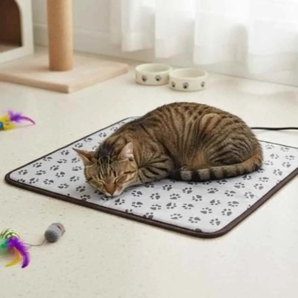 Tapis pour chat gris clair à motif pattes, bordure sombre, chat tigré allongé.