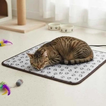 Tapis pour chat gris clair à motif pattes, bordure sombre, chat tigré allongé.