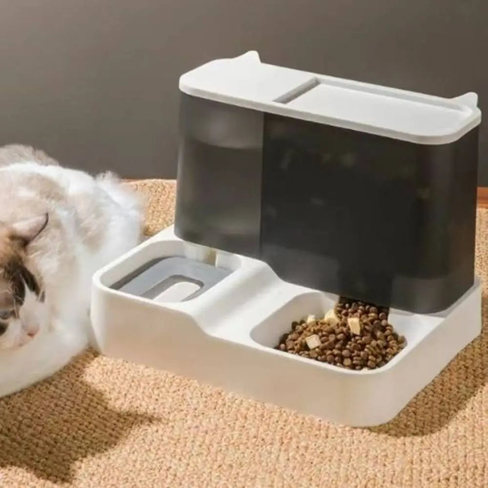 Distributeur de croquettes pour chat blanc, couvercle transparent, croquettes dans le bol.