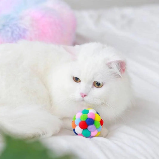 Jouet pour chat interactif FelinPlay : balle multicolore en peluche, prise par le chat