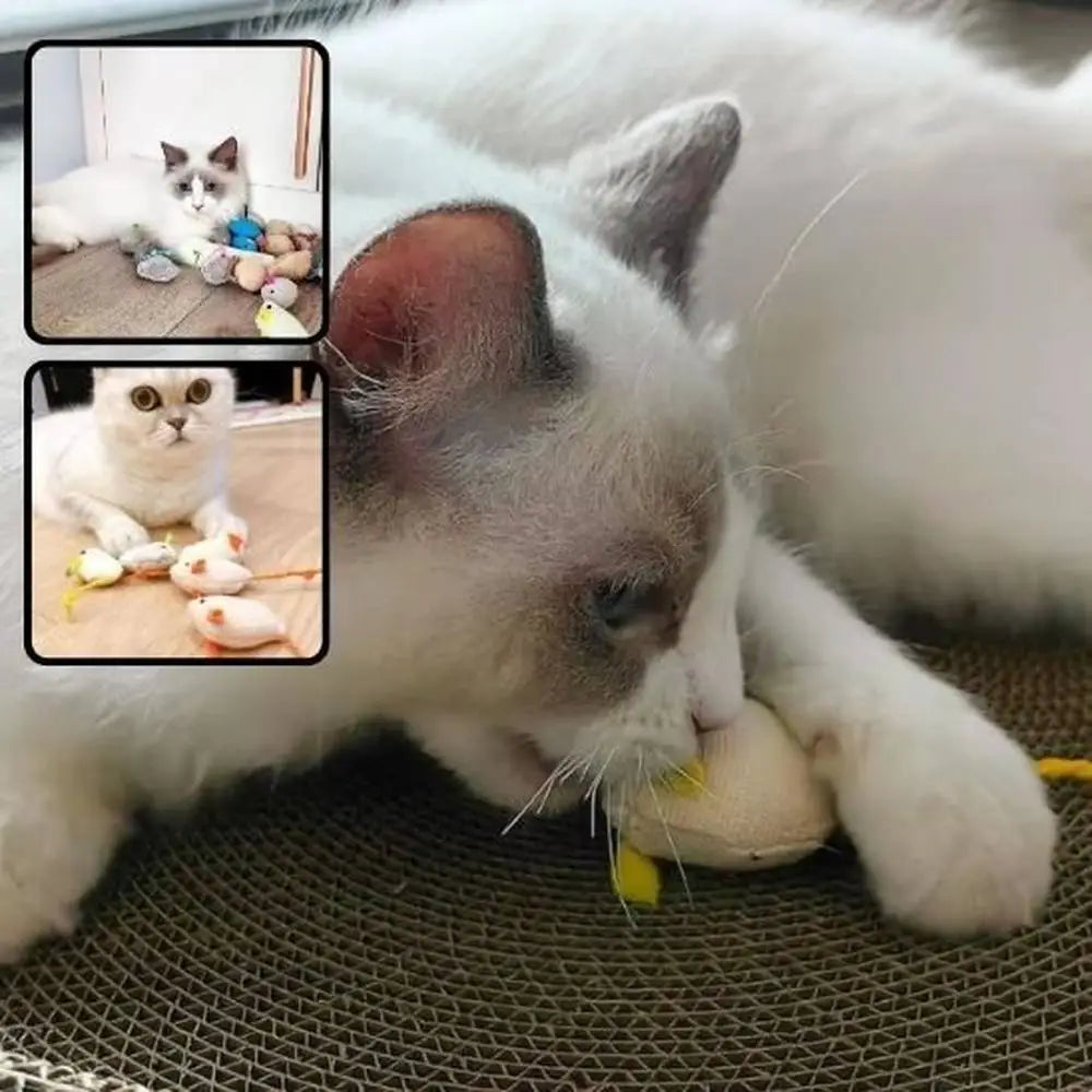 Souris en peluche grise avec plume et fil, jouet pour chat