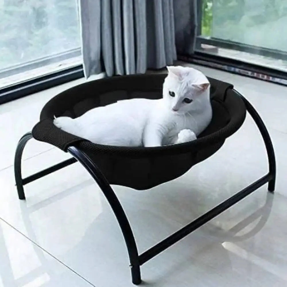 Hamac pour chat noir à bord arrondi, cadre noir, chat blanc couché