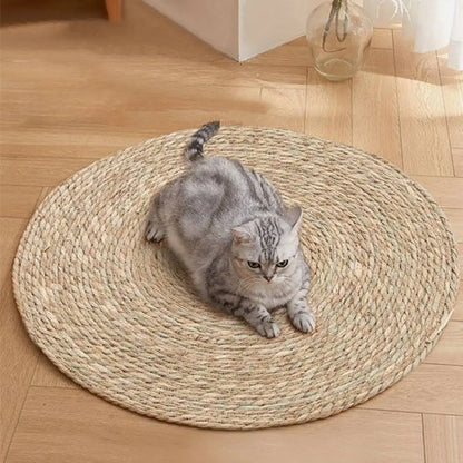 Tapis griffoir rond en sisal clair, chat gris roulé au centre