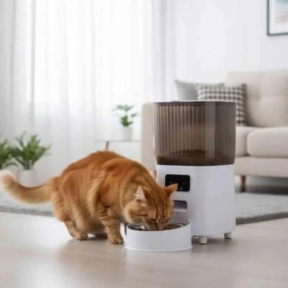 Distributeur de croquettes pour chat AutoFeeder blanc, chat tigré mange dans la gamelle