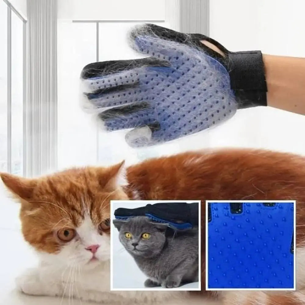 Gant-brosse pour chat bleu à picots silicone, sangle noire, sur chat roux.
