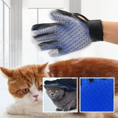 Gant-brosse pour chat bleu à picots silicone, sangle noire, sur chat roux.