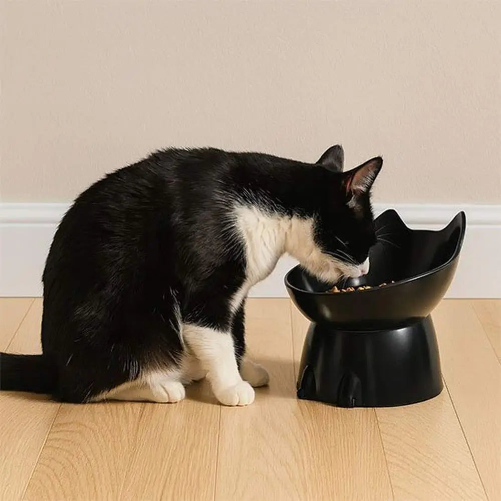 Gamelle surélevée pour chat Ergo noire, bol en plastique sur base arrondie.