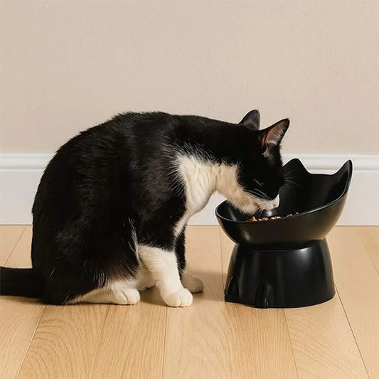 Gamelle surélevée pour chat Ergo noire, bol en plastique sur base arrondie.
