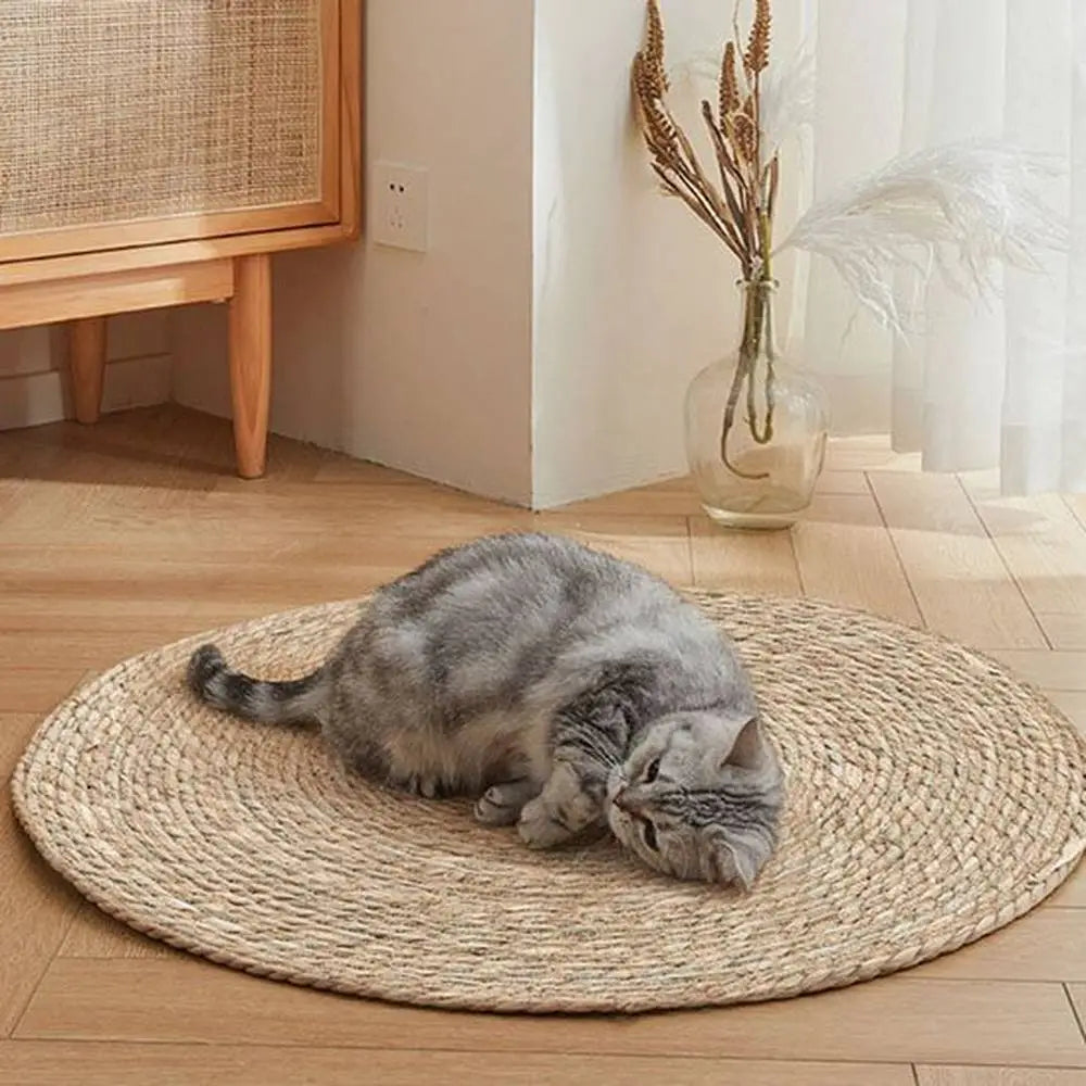 Tapis griffoir rond en sisal clair, chat gris couché et griffant
