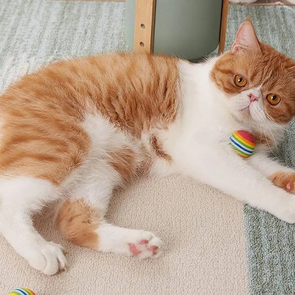 Balles en mousse colorées pour chat, petite balle rayée arc-en-ciel près d’une patte