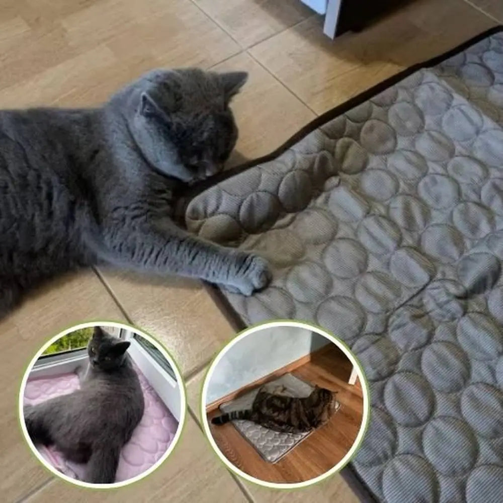 Tapis rafraîchissant pour chat gris à relief, avec chat gris allongé sur le sol.