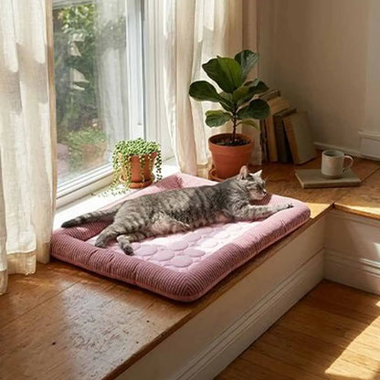 Tapis rafraîchissant pour chat rose rectangulaire, bords côtelés, surface claire et moelleuse
