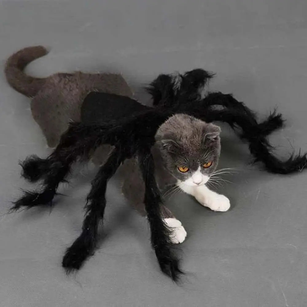 Déguisement pour chat noir à pattes d’araignée, tissu duveteux, sur le corps.
