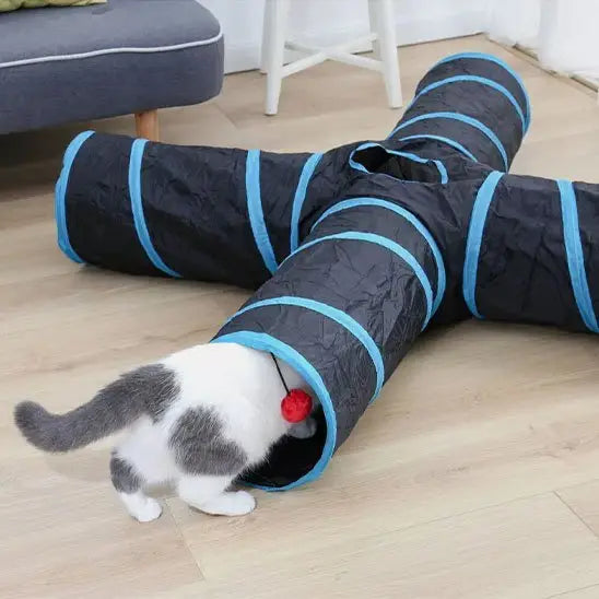 Tunnel pour chat noir à rayures bleu, passages multiples, chat explorant