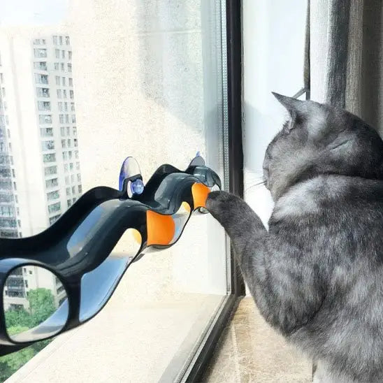 Jouet interactif pour chat à ventouses, barre noire ondulée orange et bleue près d’un chat gris