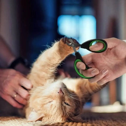 Coupe-griffes pour chat à poignées vertes, utilisé sur la patte d’un chat