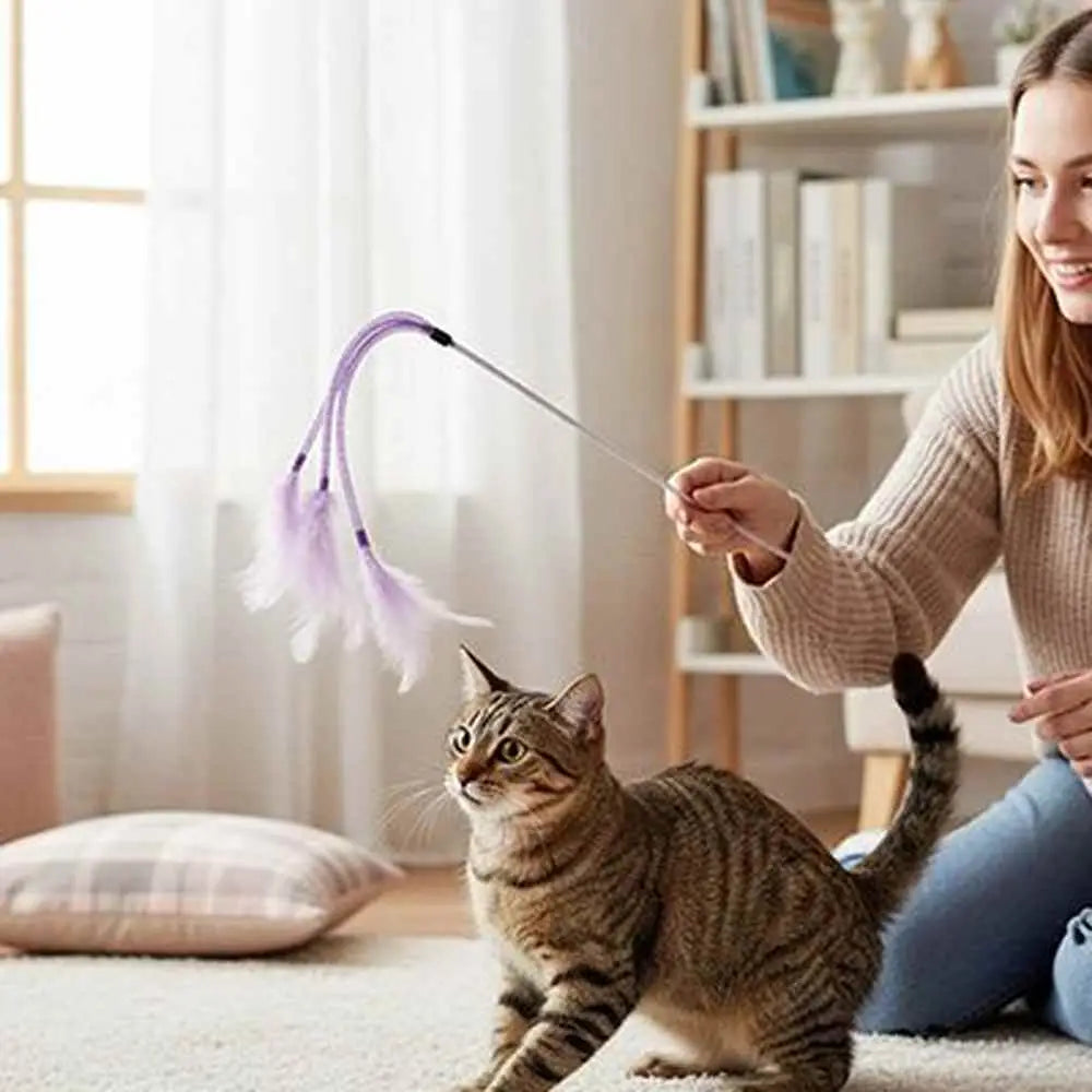 Baguette chenille pour chat, cordon violet et plume rose, chat tabby observant