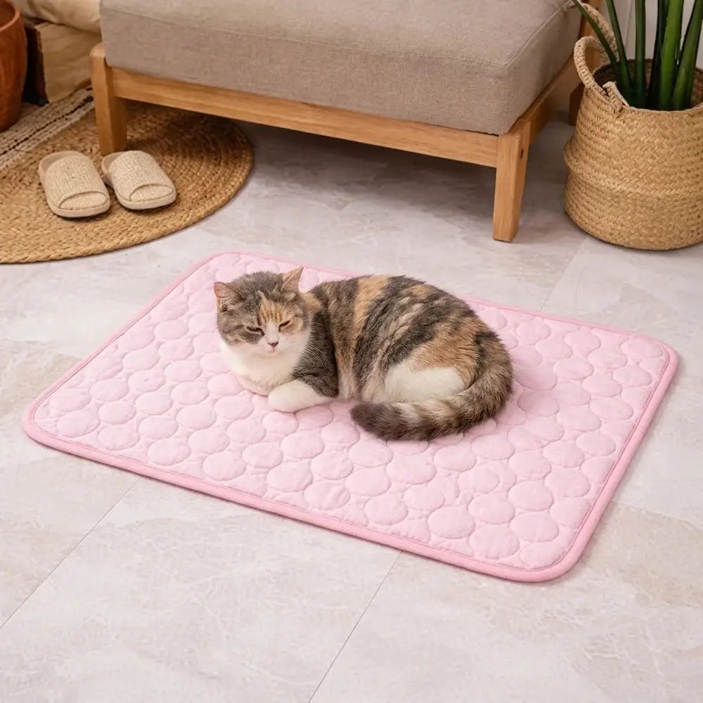 Tapis rafraîchissant pour chat rose clair, grand format rectangulaire, chat allongé dessus.