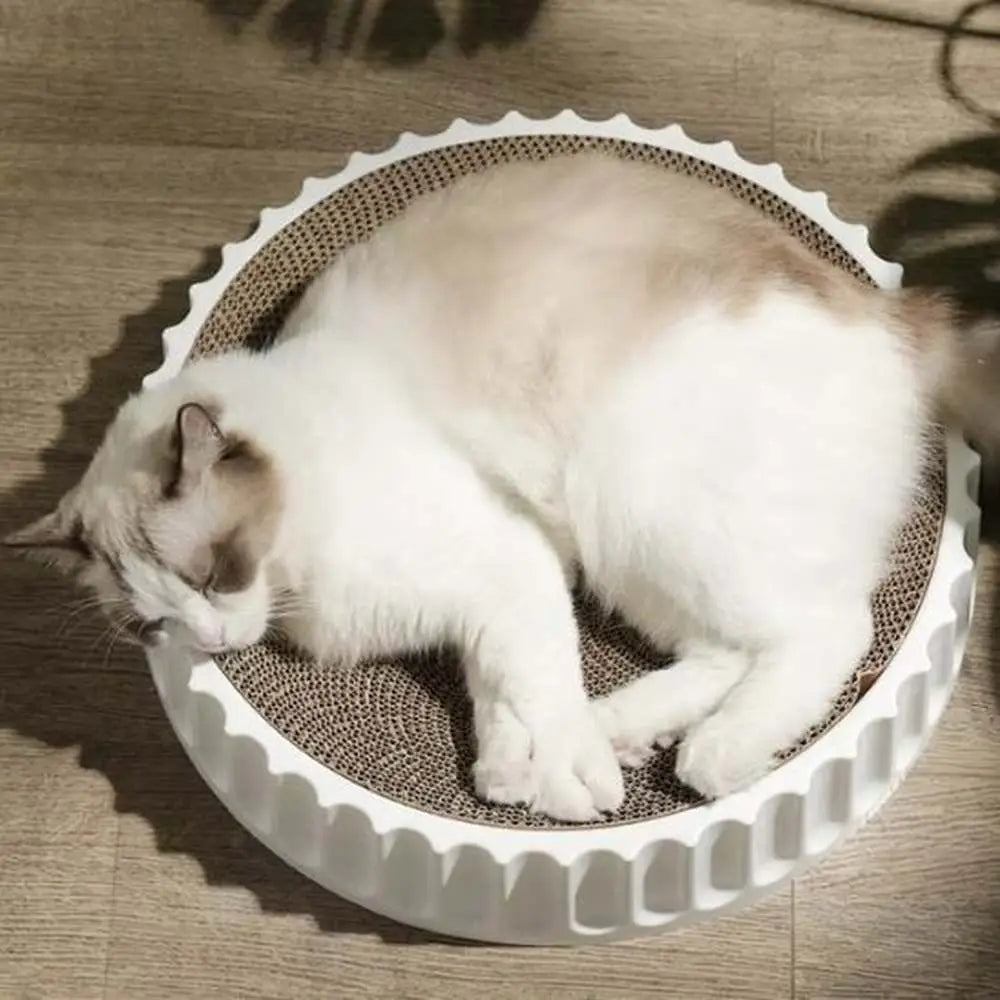 Griffoir rond pour chat avec base blanche cannelée et surface de grattage en sisal.