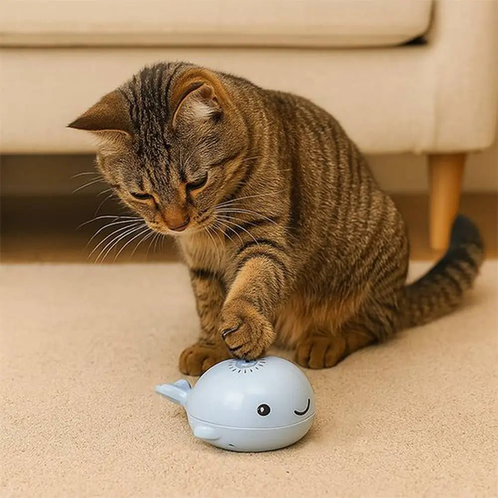 Jouet pour chat dauphin blanc/bleu clair lance-balle avec ventilateur, balle sortante.