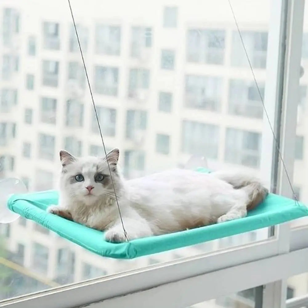 Hamac suspendu pour chat vert menthe, coussin rembourré, chat blanc couché
