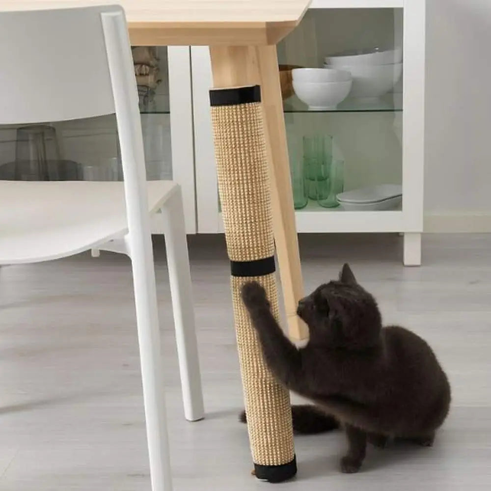 Griffoir pour chat sur poteau en sisal beige, embouts noirs, chat noir