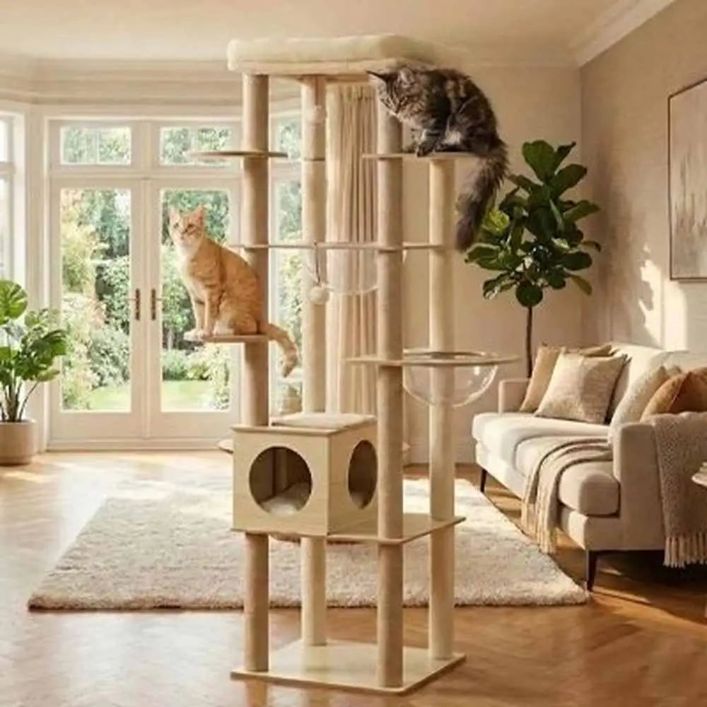 Arbre à chat en bois naturel avec plateformes; chat tigré en haut et chat orange en bas