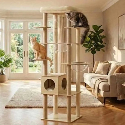 Arbre à chat en bois naturel avec plateformes; chat tigré en haut et chat orange en bas