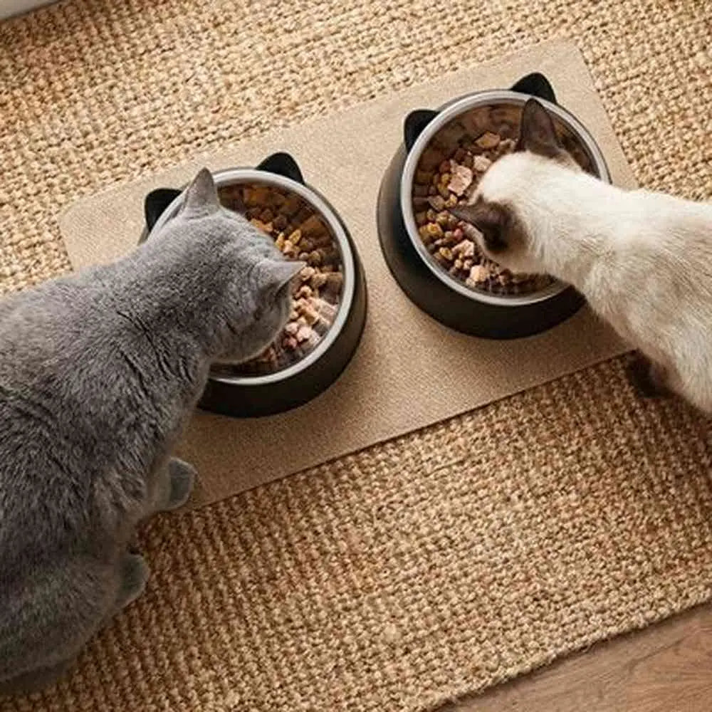 Deux gamelles pour chat noires avec bols inox, sur tapis beige