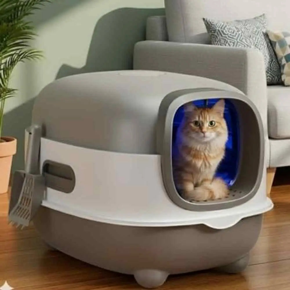 Bac à litière pour chat gris clair et blanc, entrée ronde bleue, chat