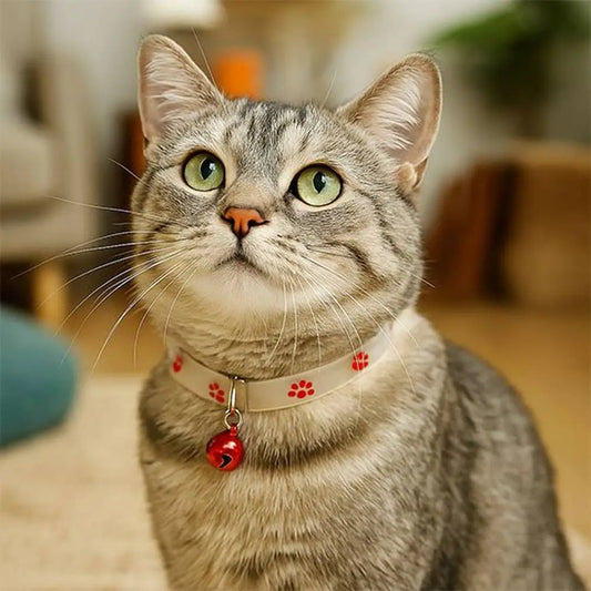 Collier chat en silicone clair avec clochette rouge et motifs pattes rouges