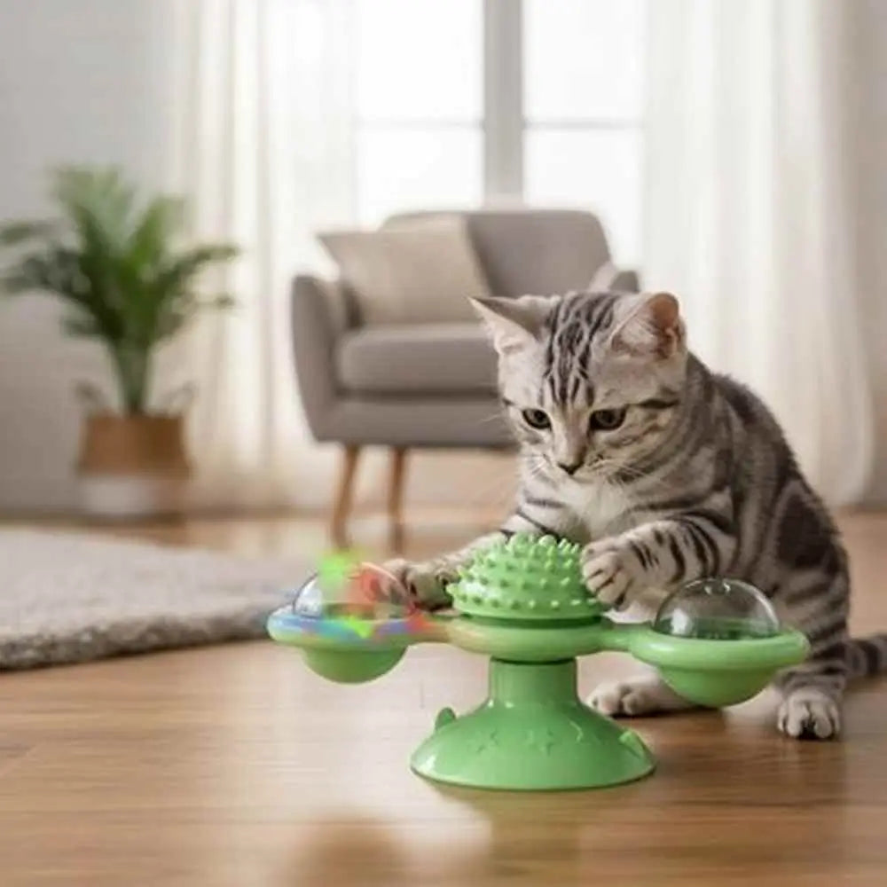 Moulin à vent pour chat, jouet vert avec pics et deux coupelles transparentes