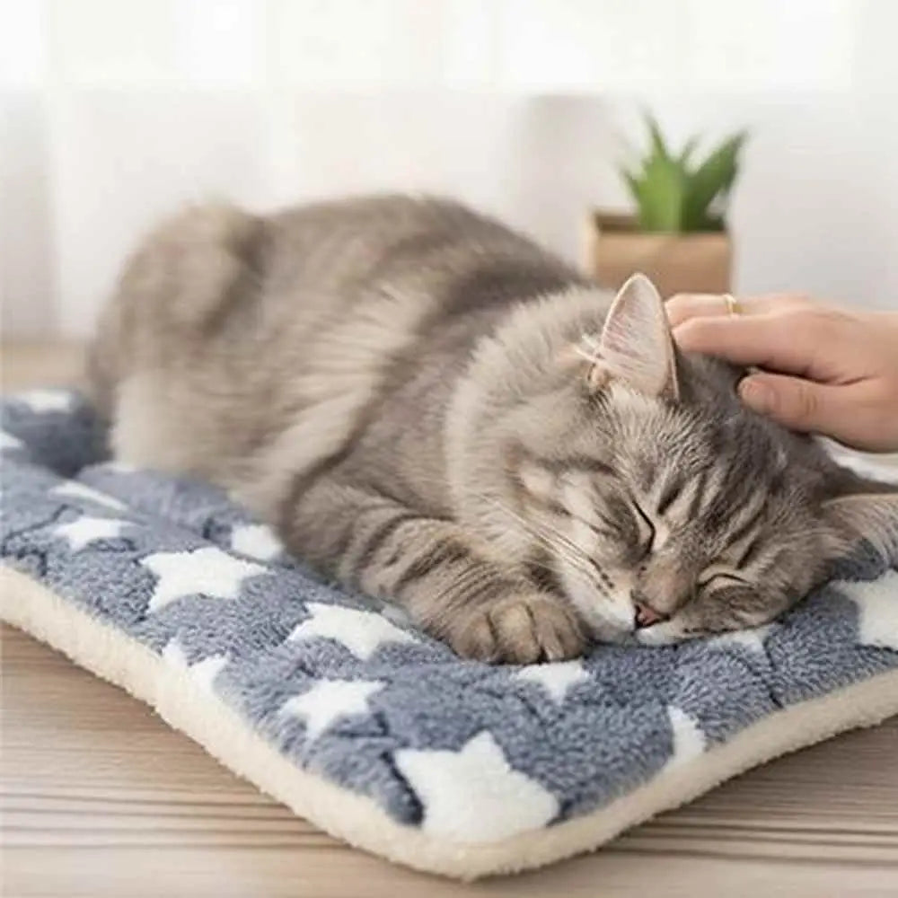 Tapis pour chat antidérapant à motif étoiles gris et blanc, surface moelleuse