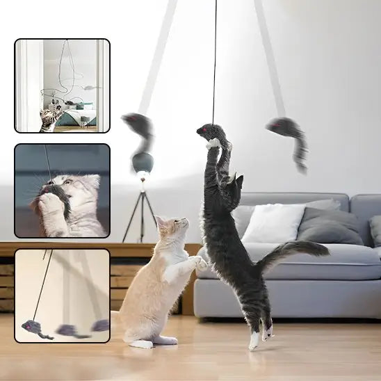 Jouet pour chat interactif: souris grises suspendues à plusieurs fils