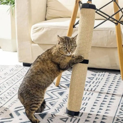 Griffoir pour chat sur poteau en sisal beige, embouts noirs, chat tigré