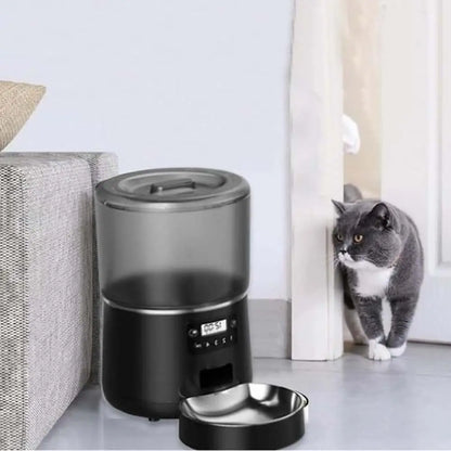Distributeur automatique de croquettes pour chat FéliTimer noir, bol inox et écran