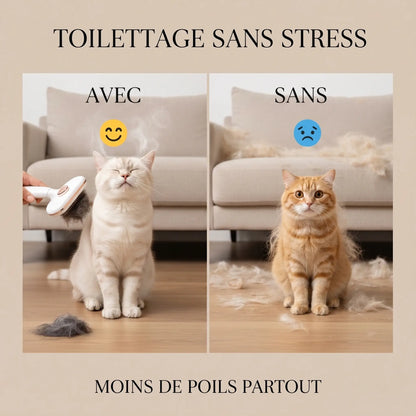 Brosse vapeur pour chat : brosse blanche sur pelage, texte promotionnel en arrière-plan