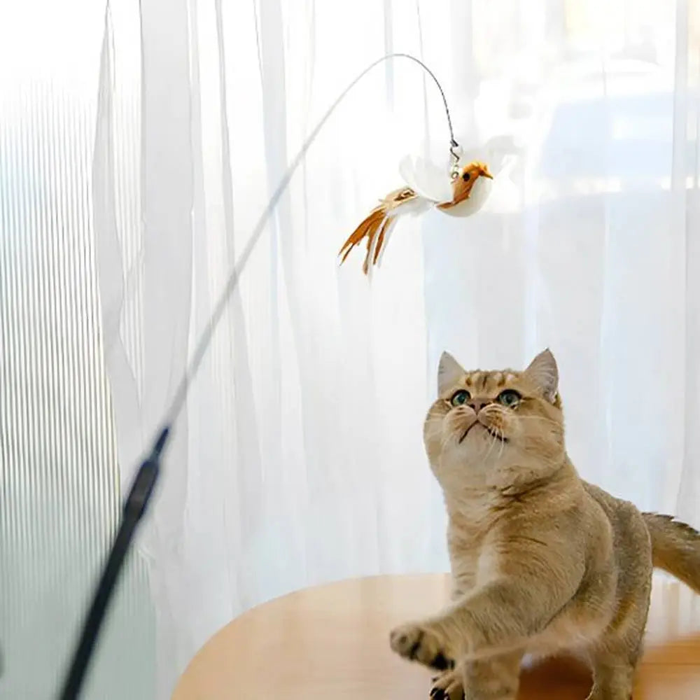 Baguette de jeu interactive pour chat avec oiseau blanc et plumes, suspendu par une corde