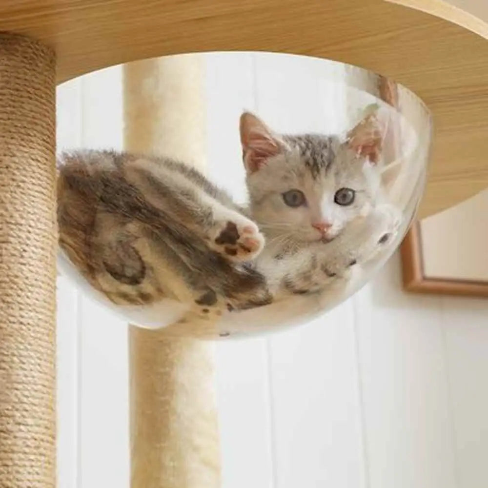 Arbre à chat en bois naturel avec hamac en tissu, chat gris à l’intérieur