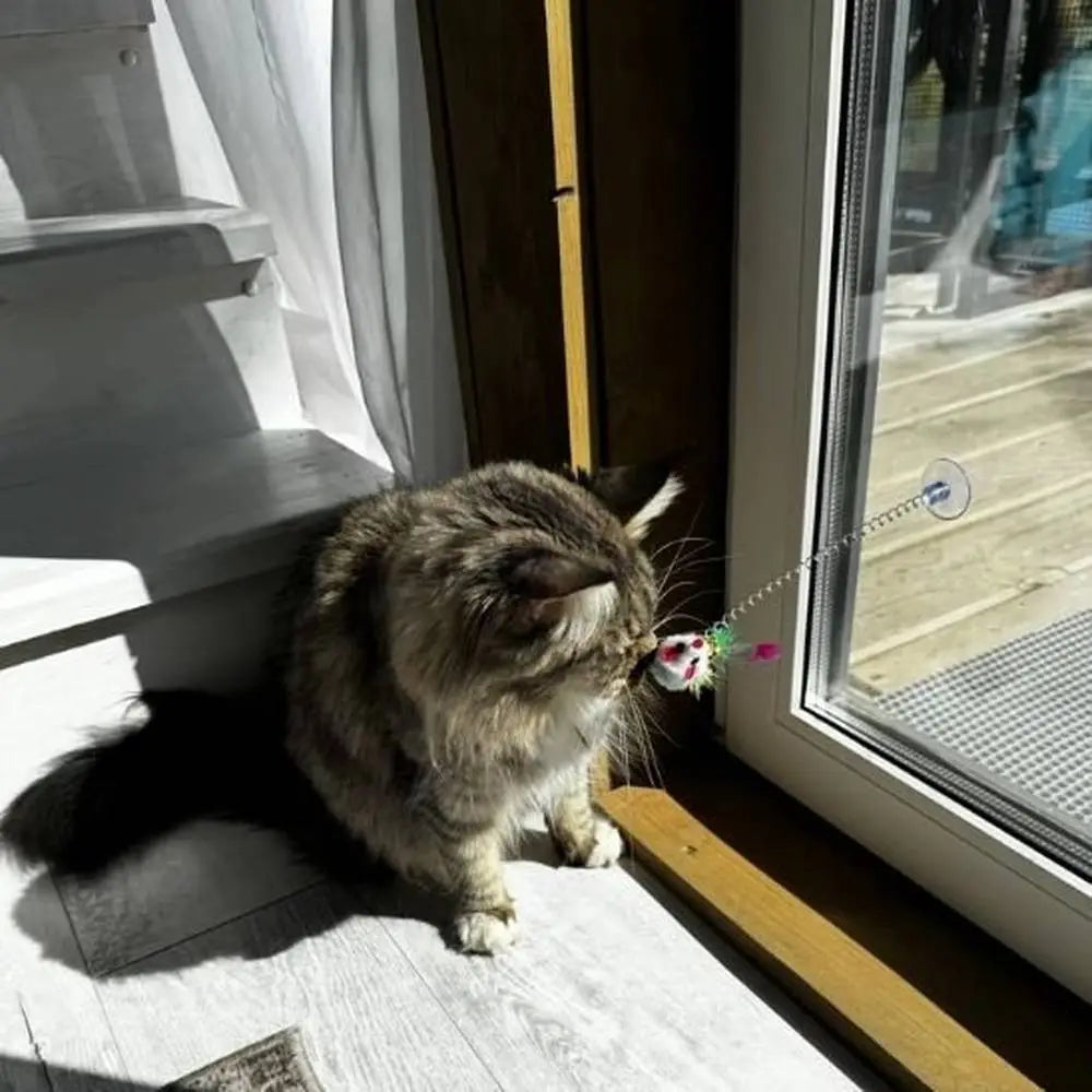 Jouet pour chat aux plumes colorées sur souris en peluche, tige à ressort et ventouse.