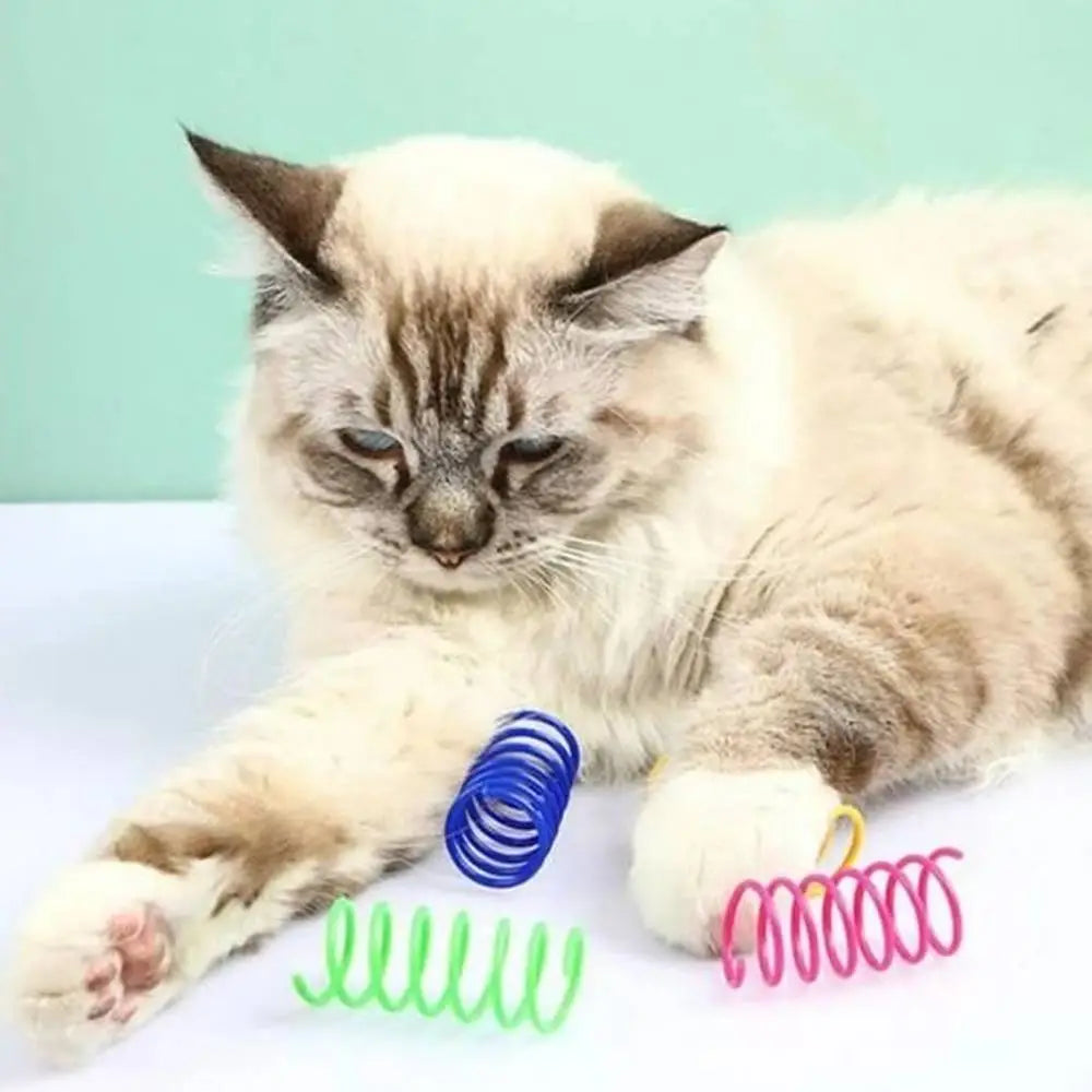Jeu pour chat: ressorts bleus, verts et roses au sol, près d’un chat