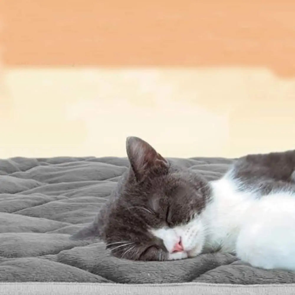 Tapis pour chat auto-chauffant gris, surface matelassée