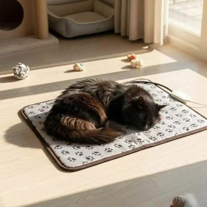 Tapis pour chat gris clair à motif pattes, bordure sombre, chat noir et fauve endormi.